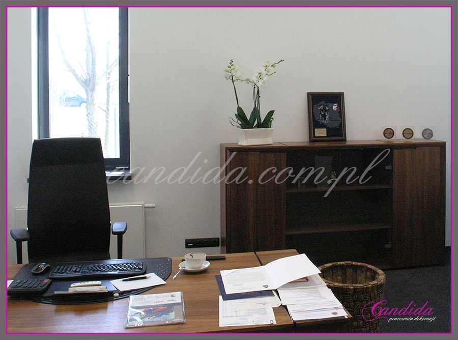 Dekoracja biur kwiatami sztucznymi. Dekoracja na recepcji, dekoracje w pokojach pracowników, dekoracja holi.